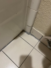 Moldy room from moisture everywhere