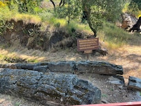 Petrified Forest