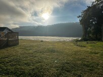 The view of the back yard in the morning.