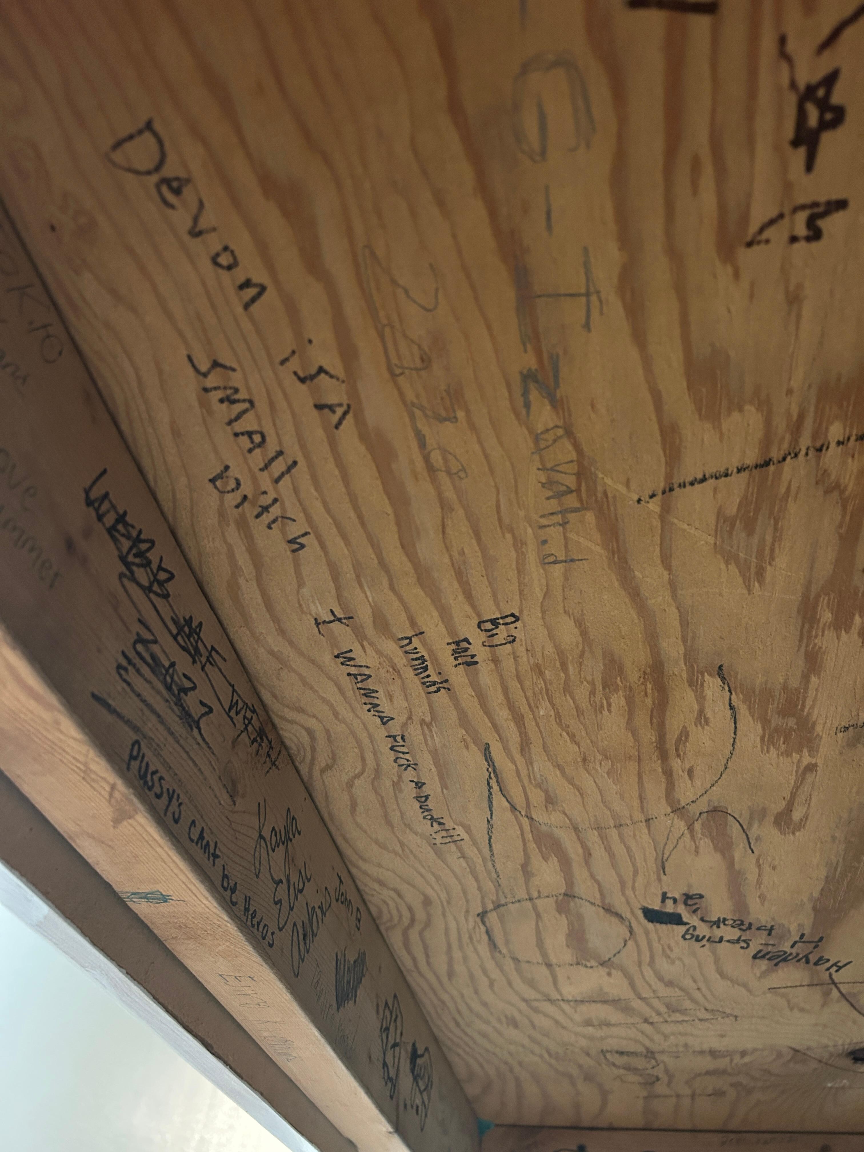 Inappropriate Graffiti 