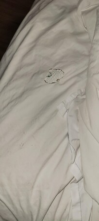 Hole in bed cover appears to be a burn hole