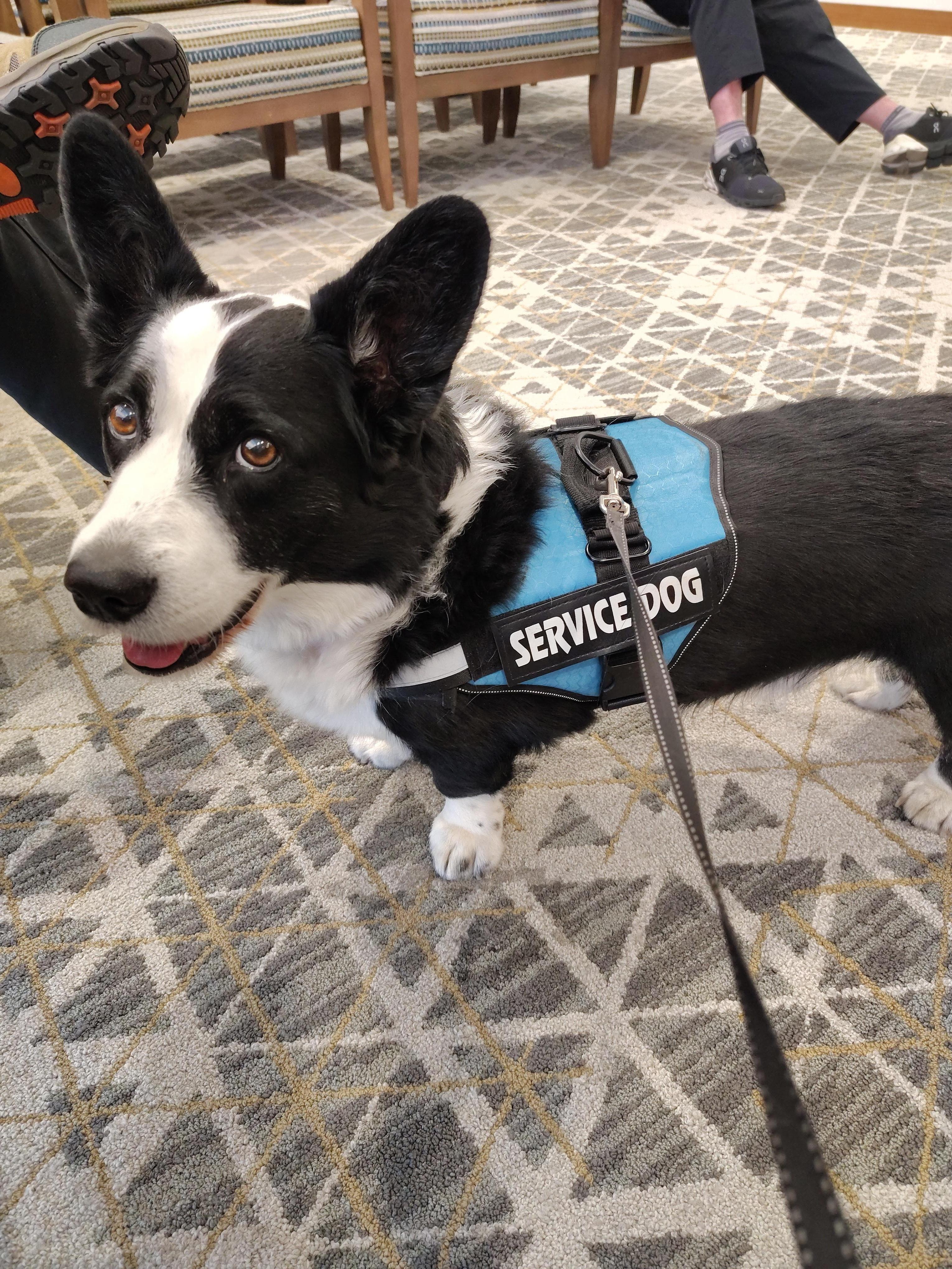 We spent most of our time at the hospital so not too many pictures.  But the good news is everything went wonderfully.