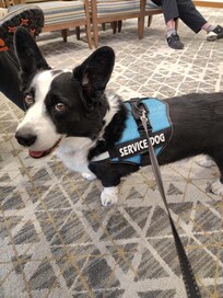 We spent most of our time at the hospital so not too many pictures. But the good news is everything went wonderfully.