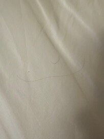 Hair in bed