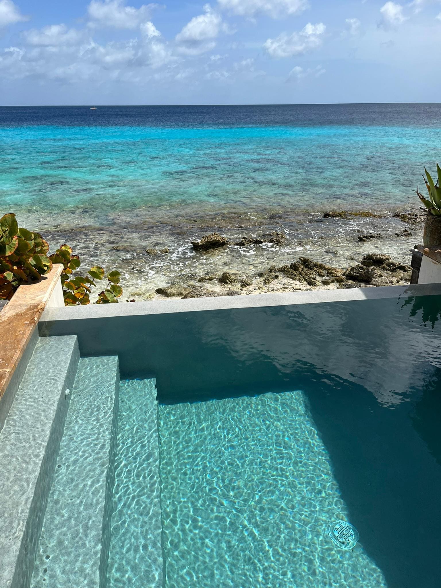 Pool with ocean view. Can snorkel from the villa.