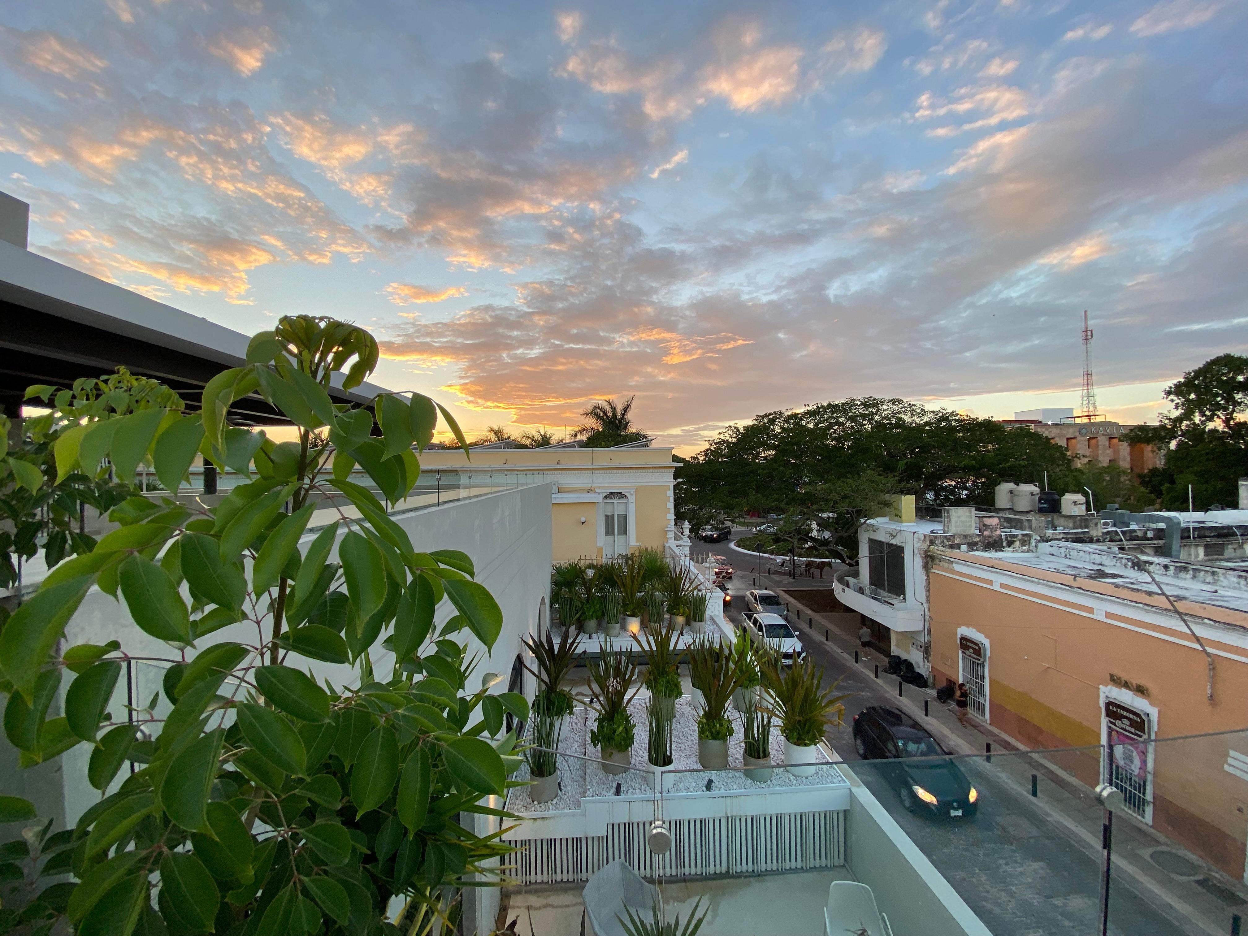 View from pool at sunset.