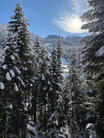 View from main level