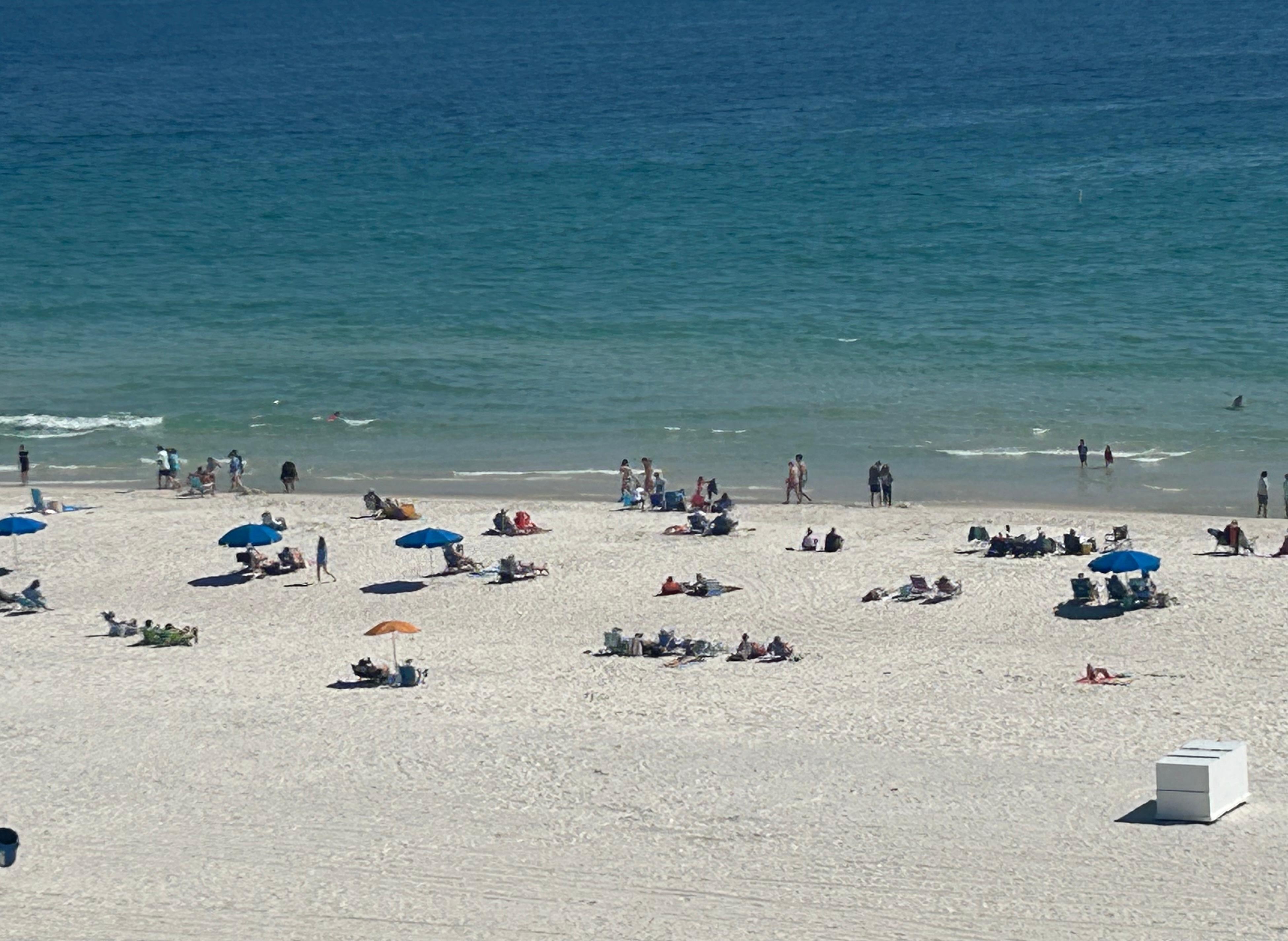 Beach chairs available to rent