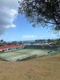 View on tennis courts
