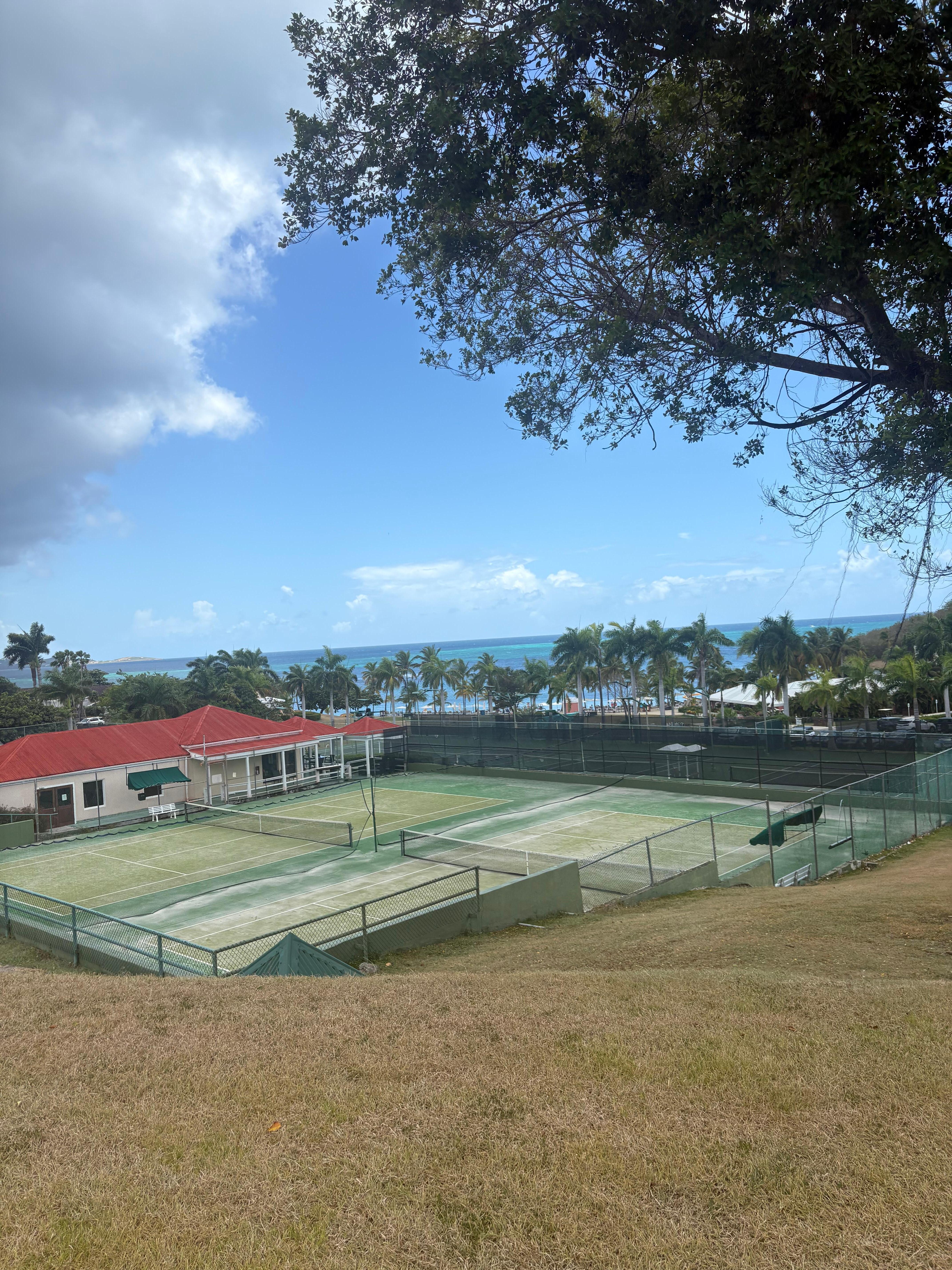 View on tennis courts