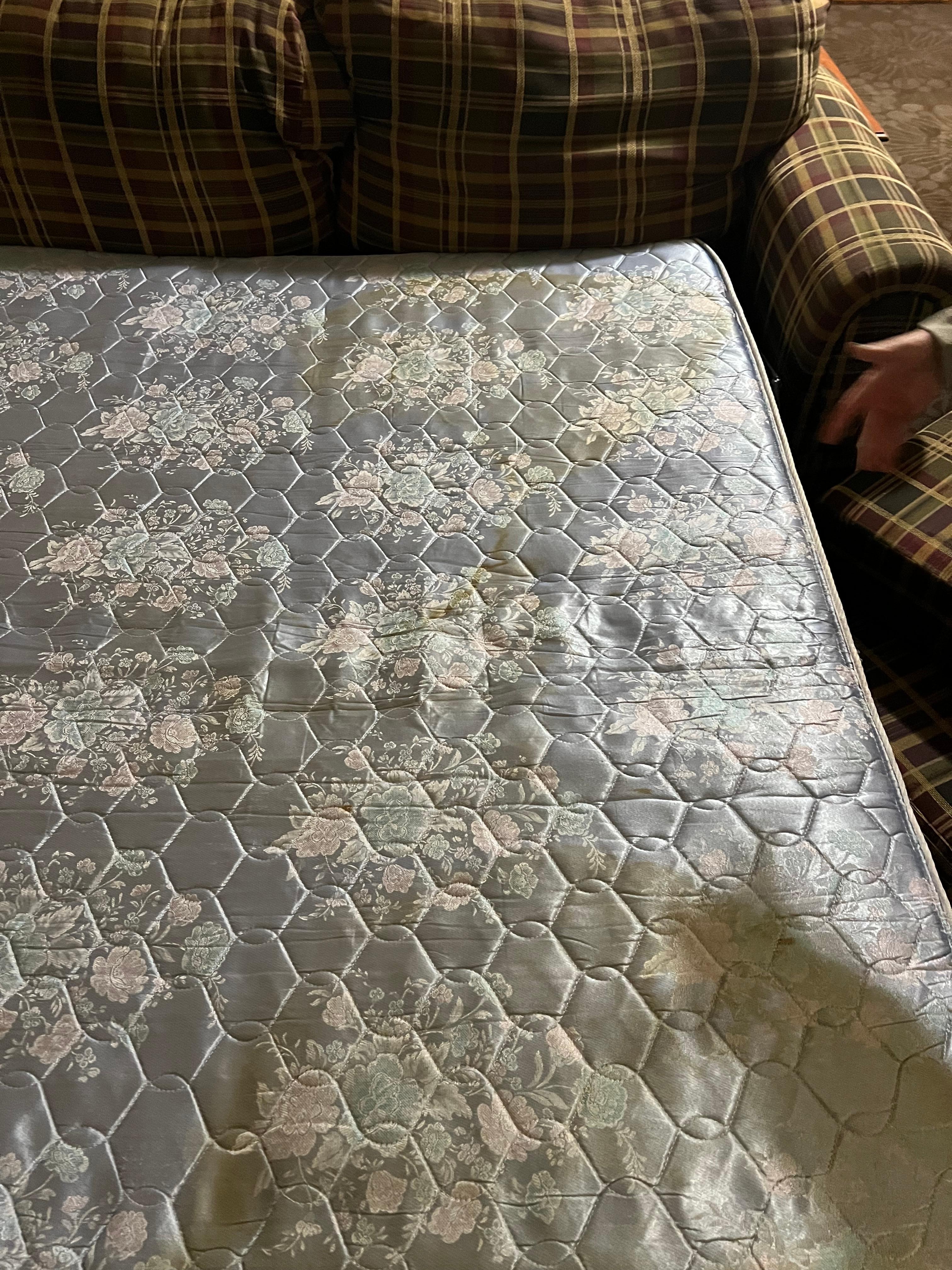 pull out couch was disgusting, torn up, and unusable