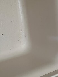 Bathtub