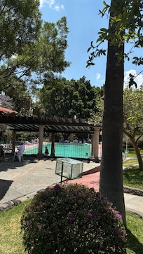 Vista de la alberca