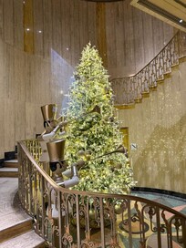 Beautiful Christmas Tree