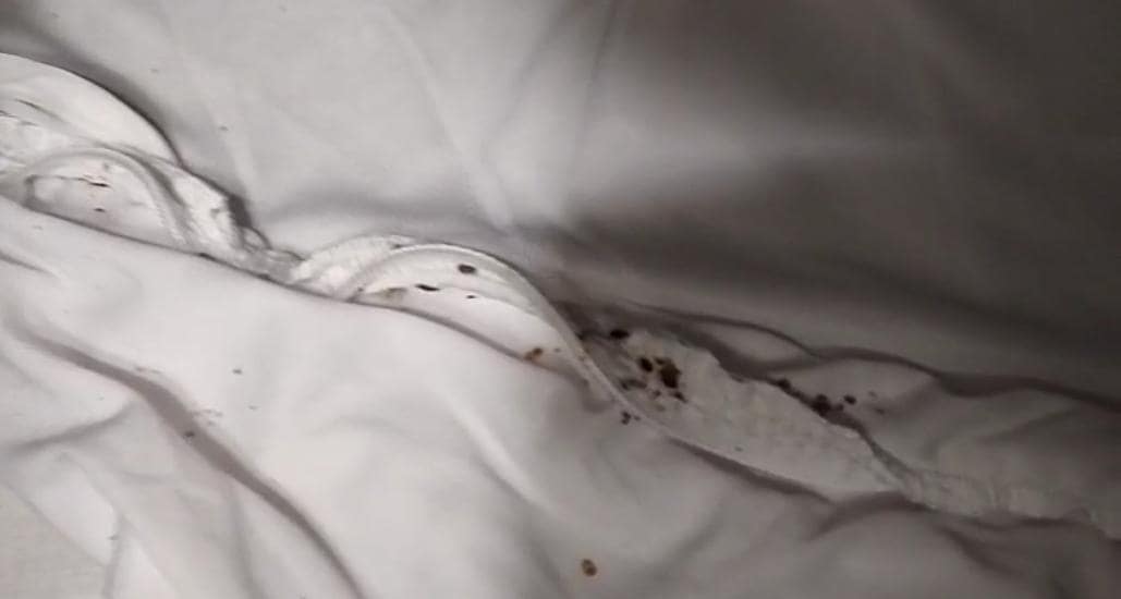 When lifting the matress, we found this. 