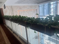 Balcony area