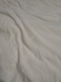 Hair on “clean” sheets.