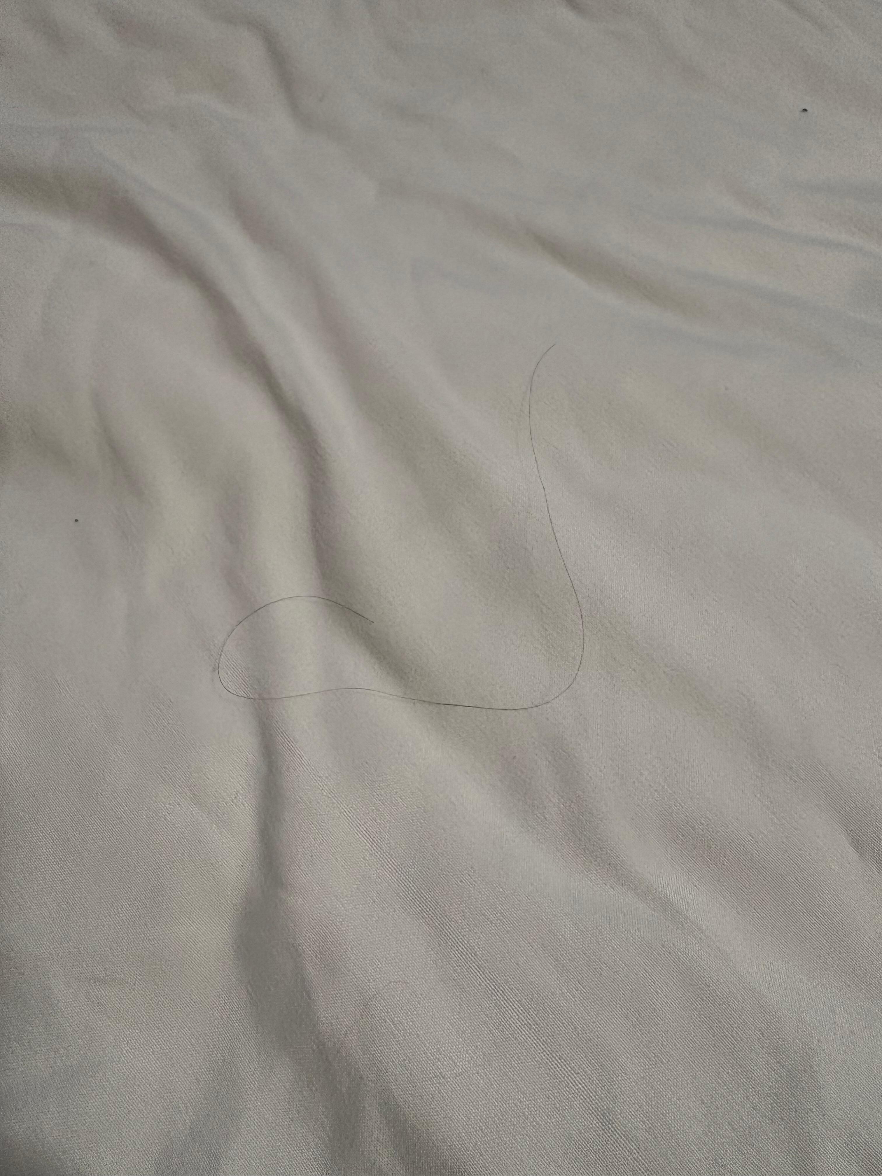 Hair on “clean” sheets.