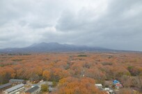屋上展望台からの景色