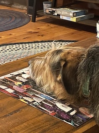 Puzzles to solve in the cabin