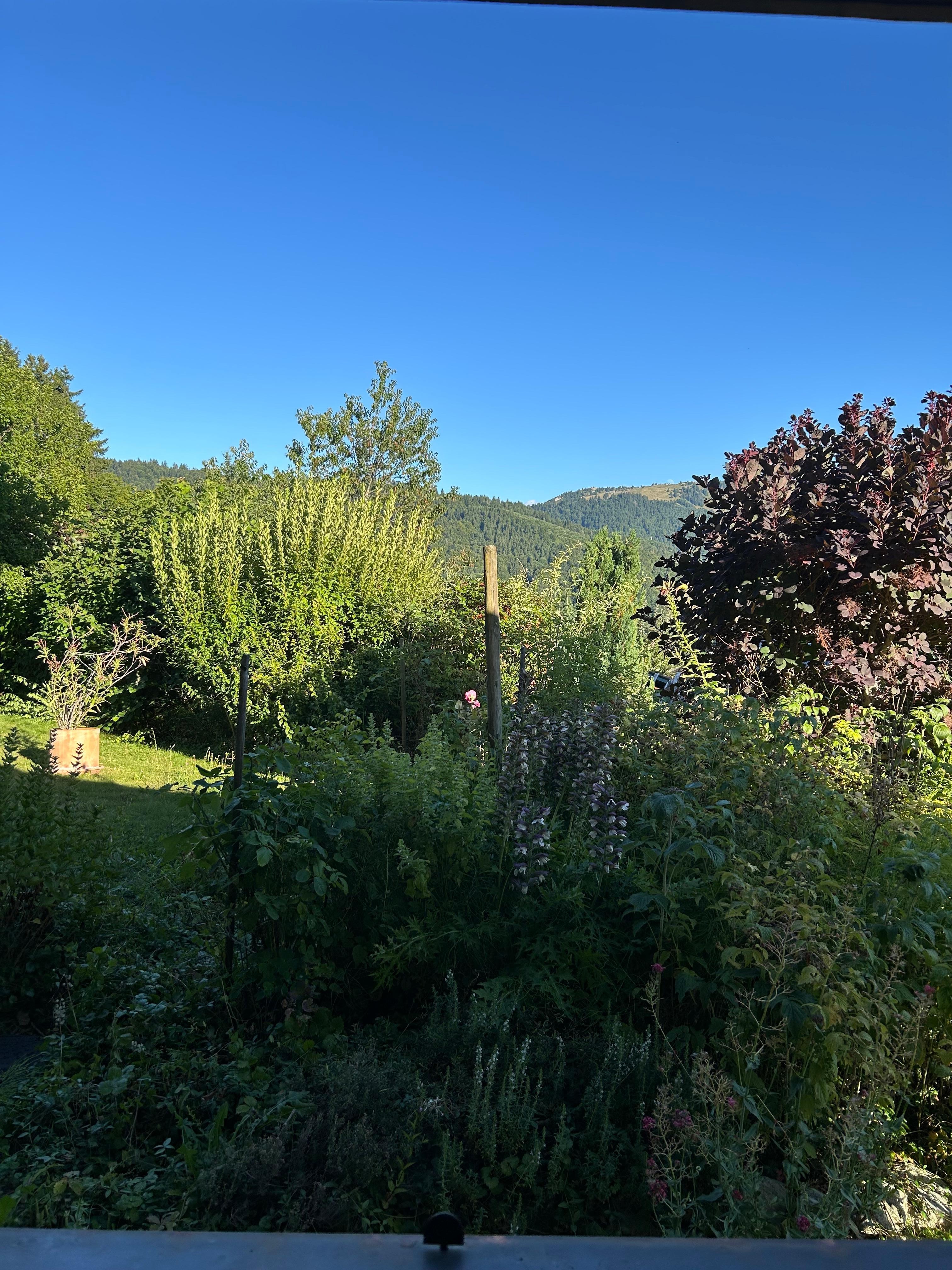La vue de la chambre 