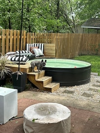 Buddha loved barking at the flamingo floating in the pool.