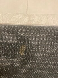 Stains on carpet