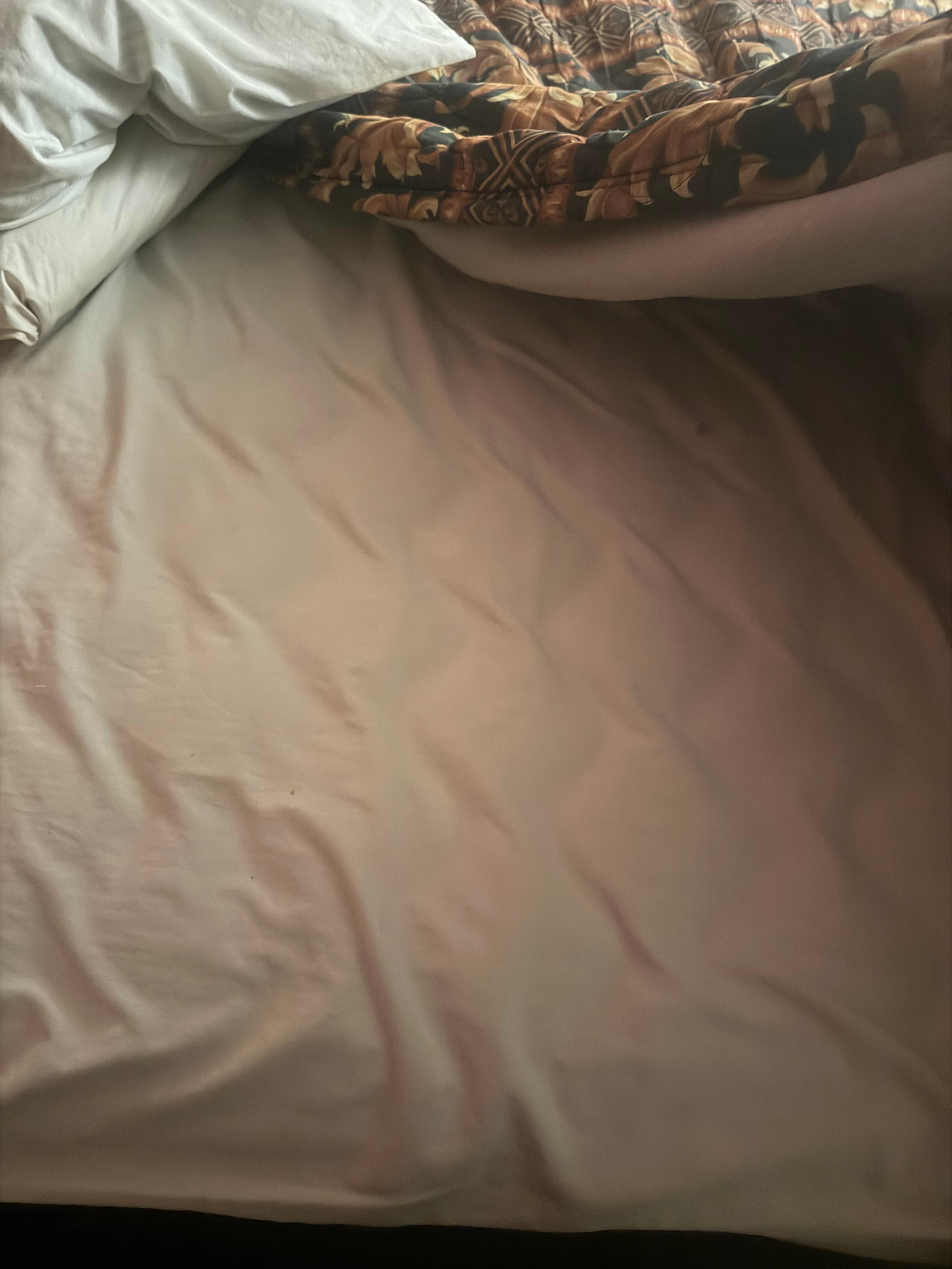 Bed with hair and crumbs In it!