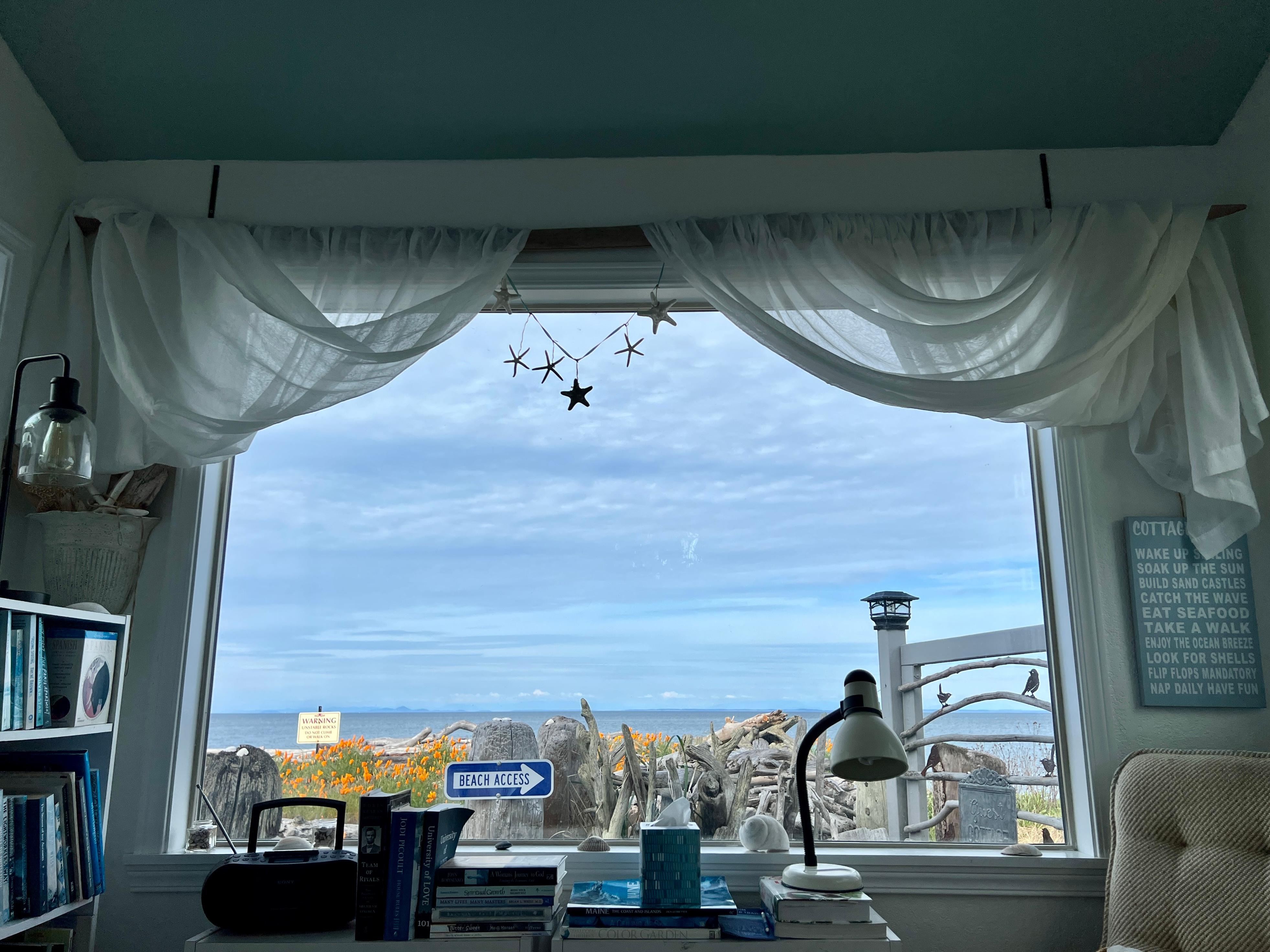 Looking out the library window 