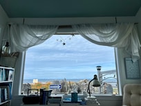 Looking out the library window