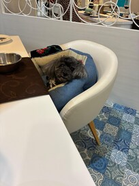 レストランです。