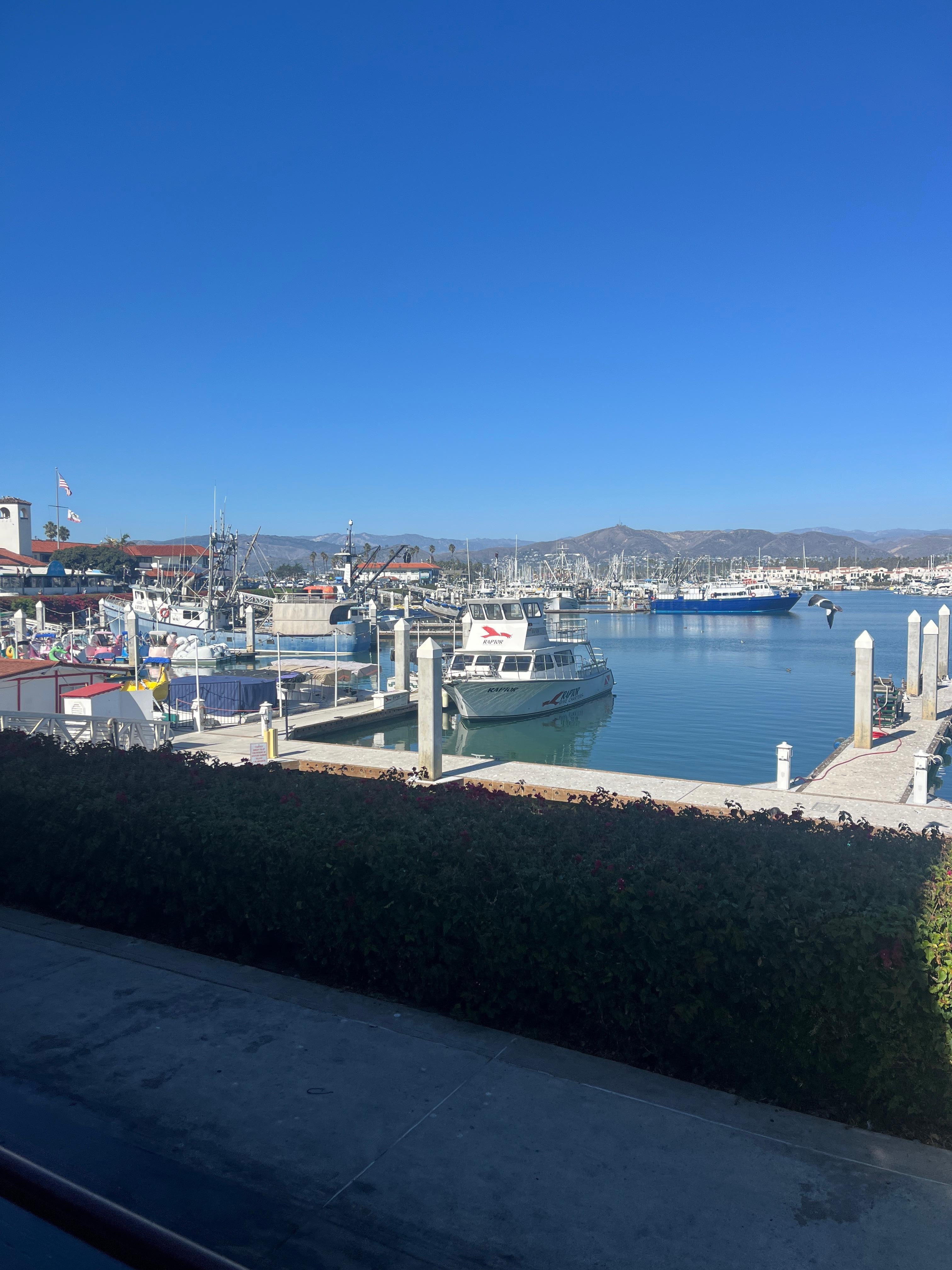 Lunch at the Harbor Village 