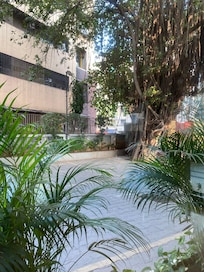 駐車場部分には癒しの緑がたくさん