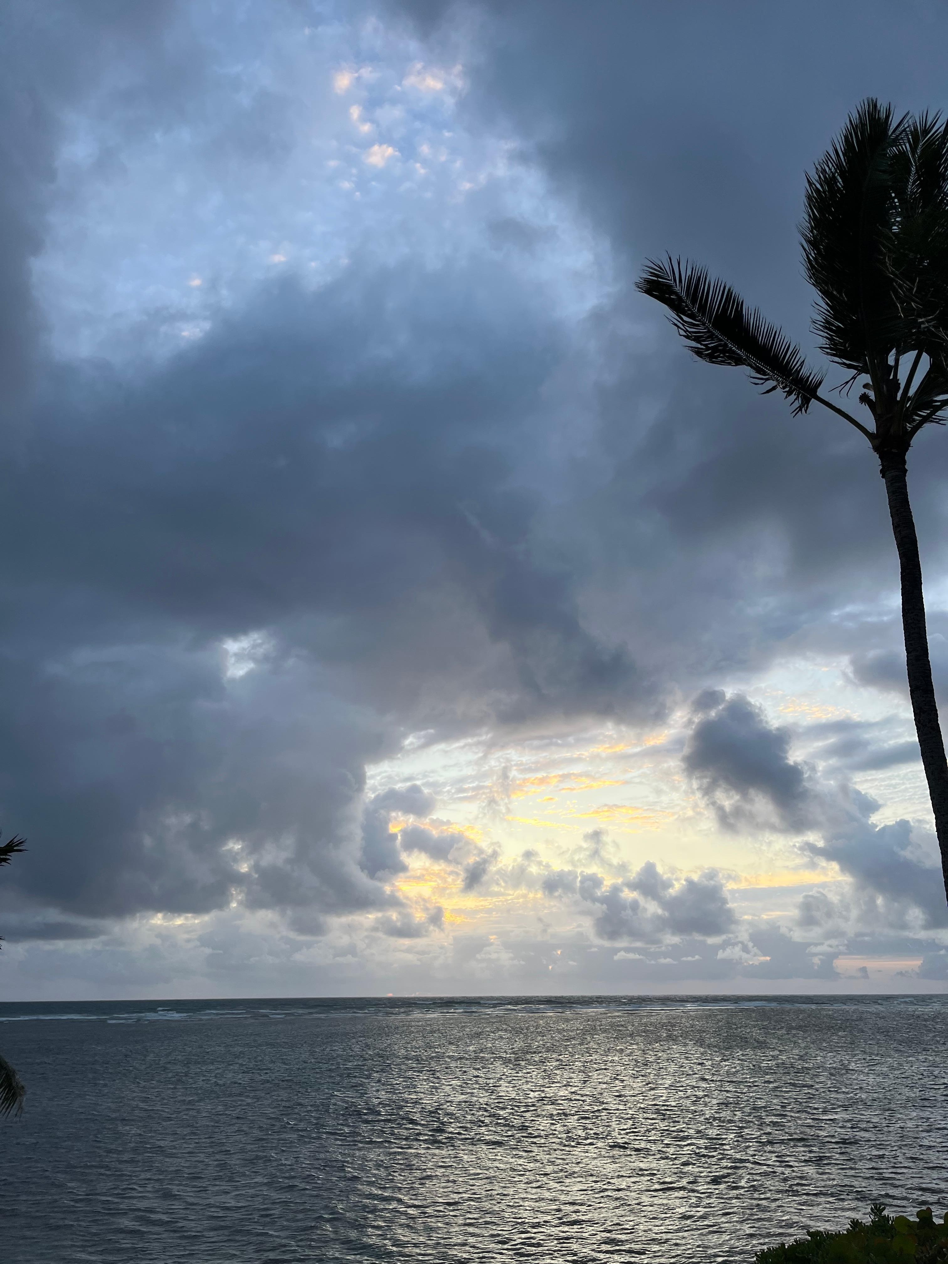Morning view from the lanai.