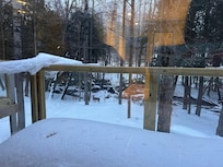 Momma & baby deer looking at us from the creek ❤️