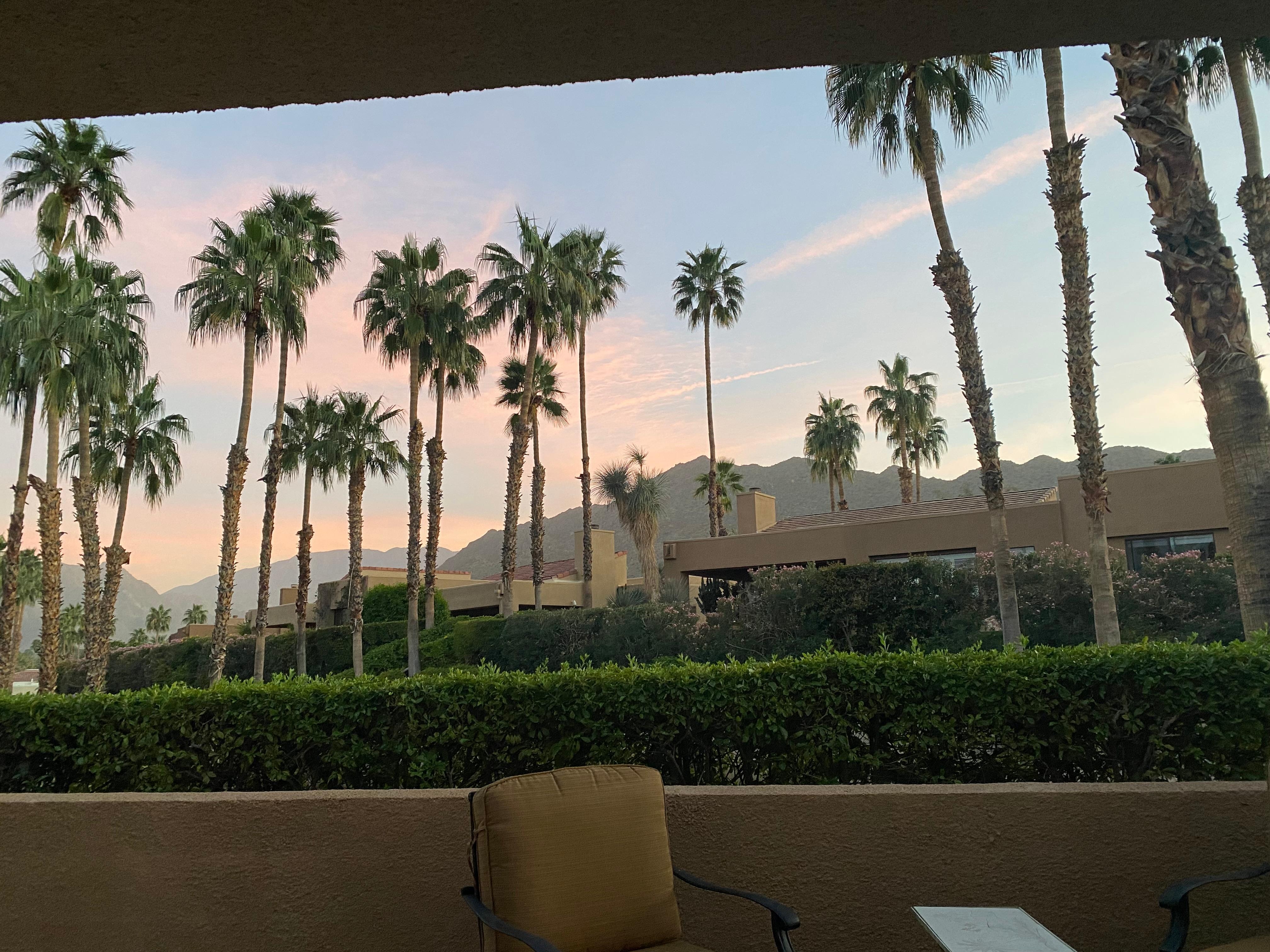 Beautiful view from the patio. 