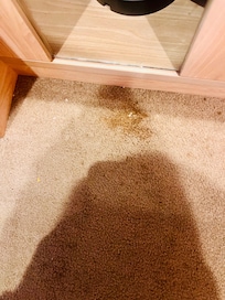 Carpet stains in room