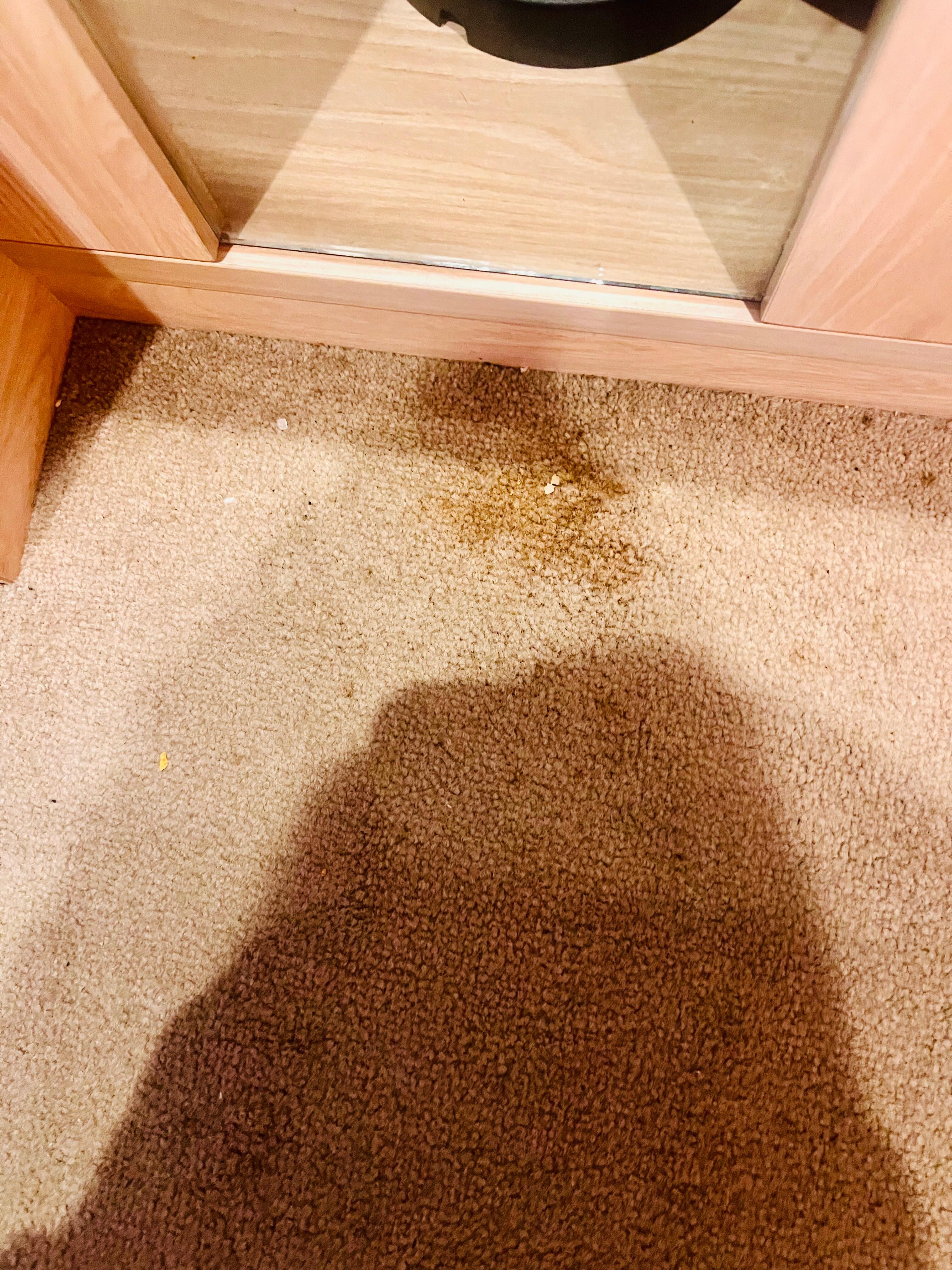 Carpet stains in room