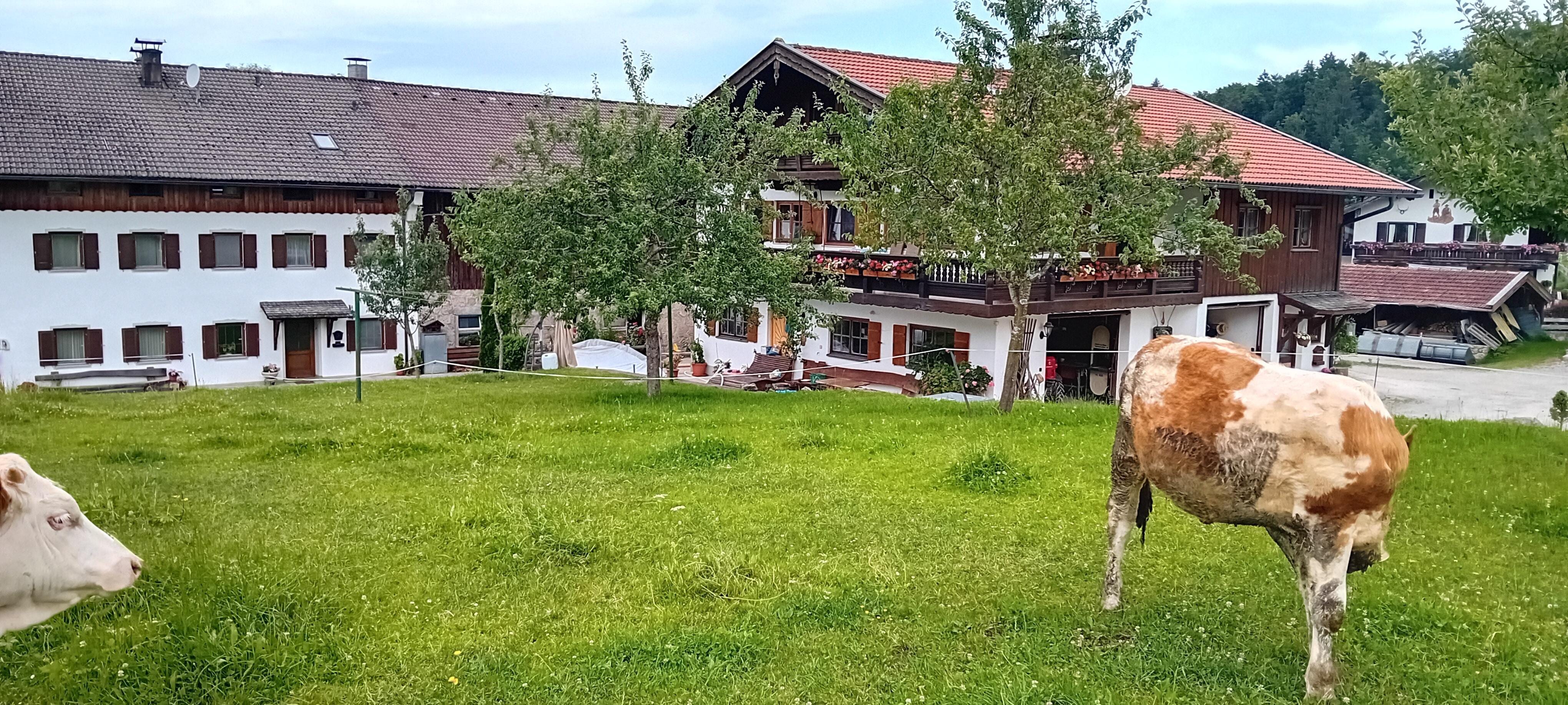 wunderschön gelegen, der Hof