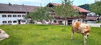 wunderschön gelegen, der Hof