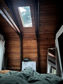 Waking up in the forest 🌲