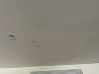 Mold on walls