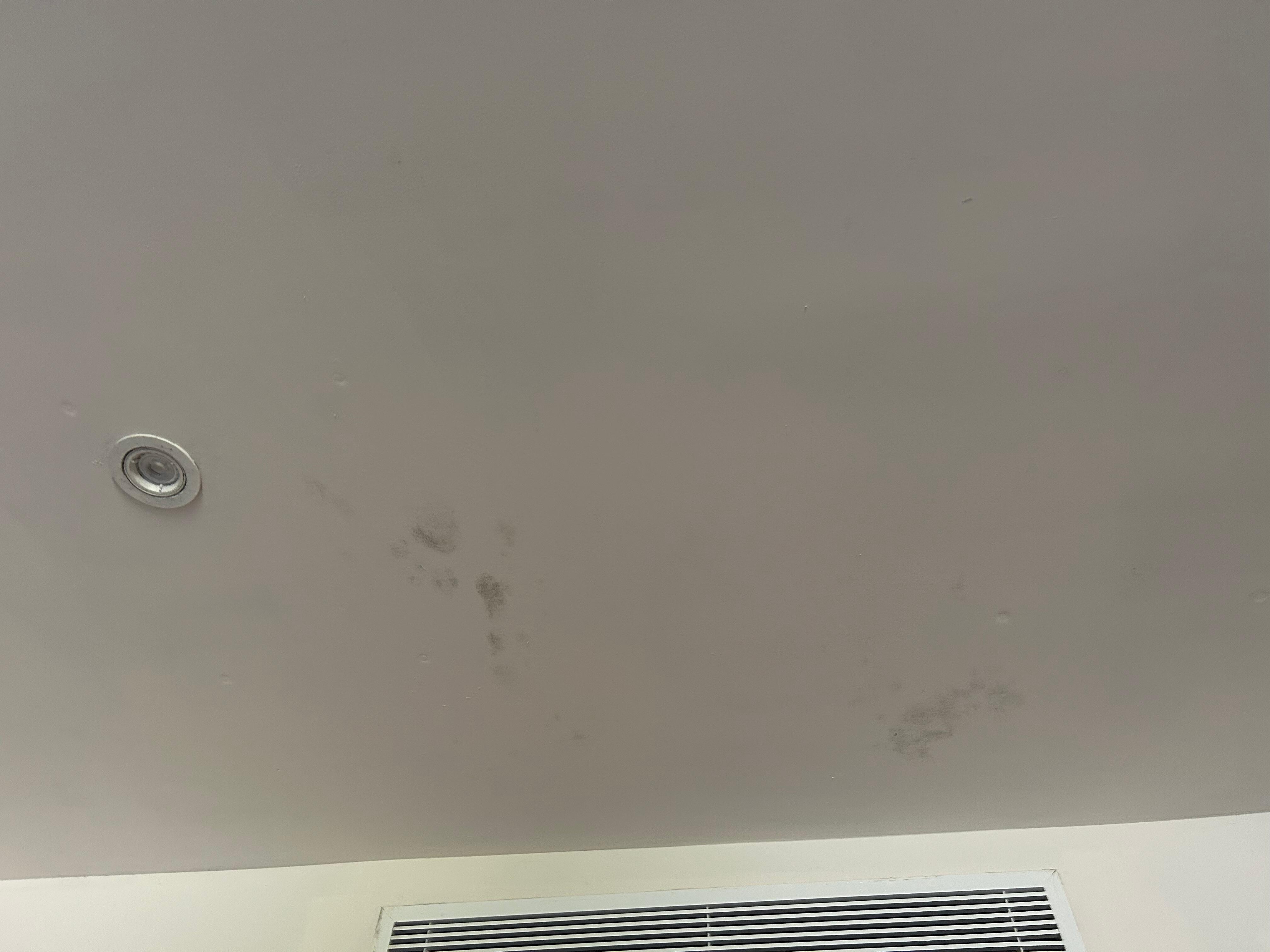 Mold on walls