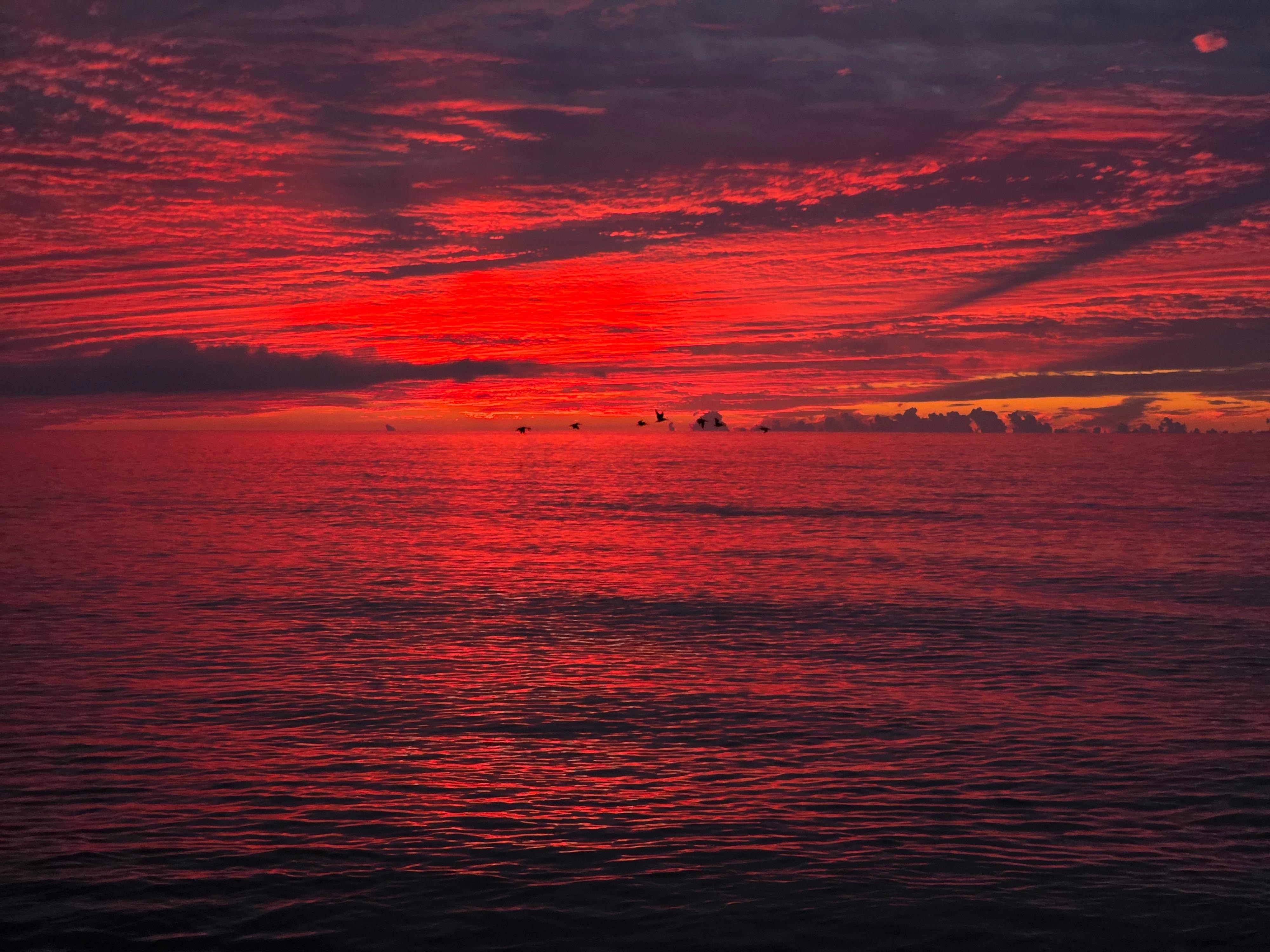 Wabasso Beach sunrise just a few minutes drive from the house.