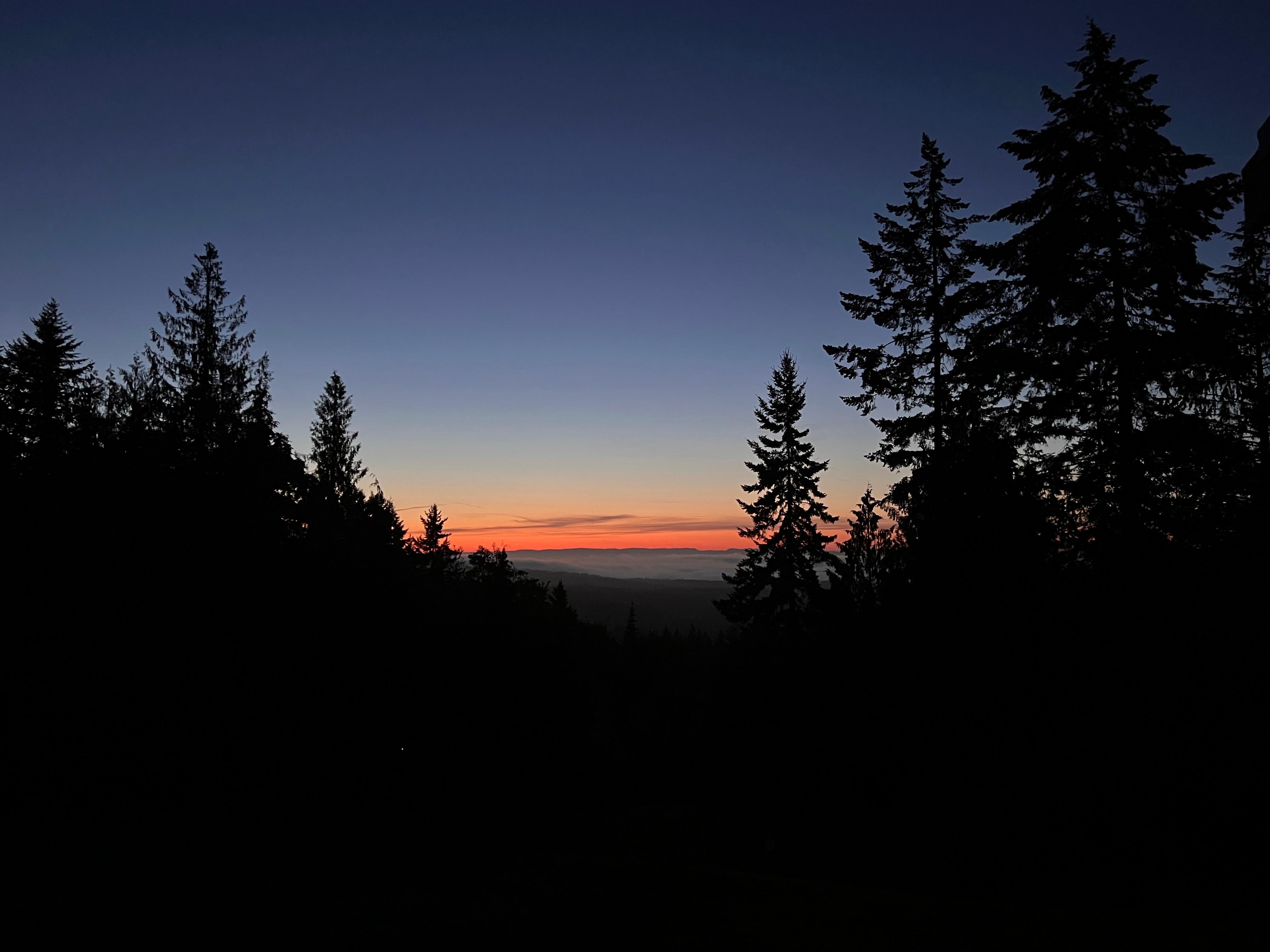View from porch