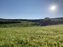 View from the garden