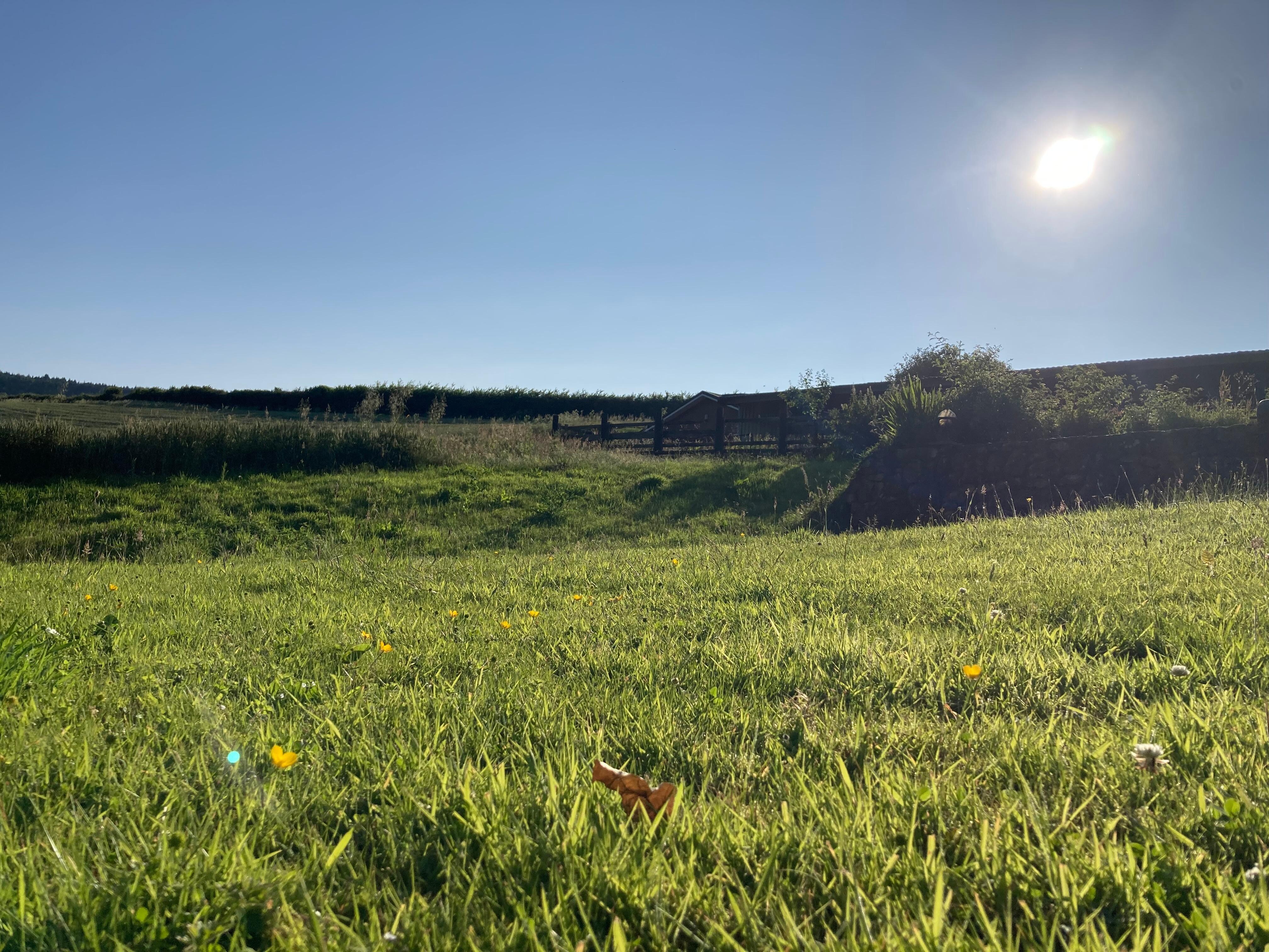 View from the garden