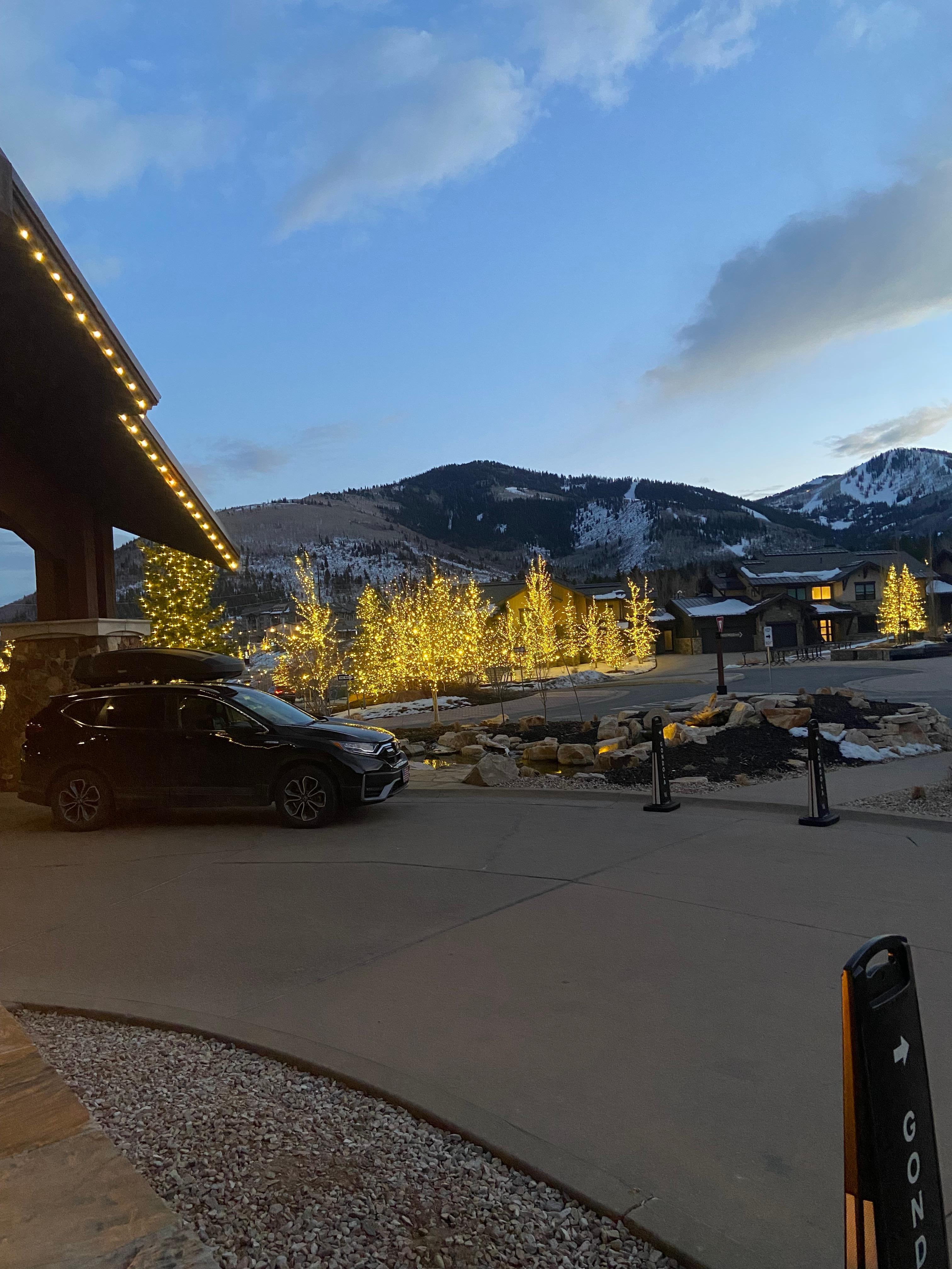 Tree lights at the front of the Resort