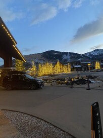 Tree lights at the front of the Resort
