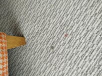 Carpet stains
